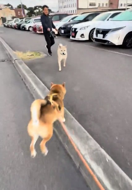 走り出すぽんたくん