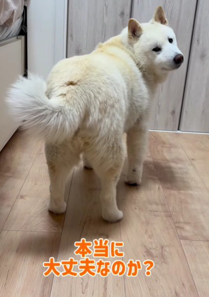 何度も無事を確認