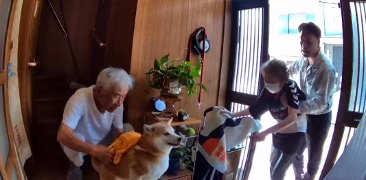 男性を振りほどこうと動き回る犬