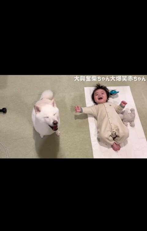 はしゃぐおまめ君＆笑う赤ちゃん9