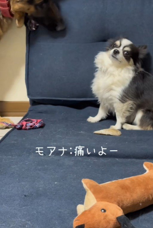 文句が止まりません！
