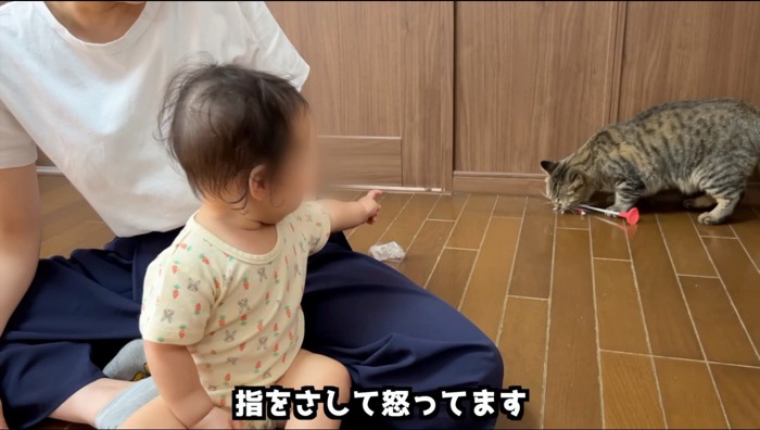 部屋の隅にいる猫に指を差す赤ちゃん