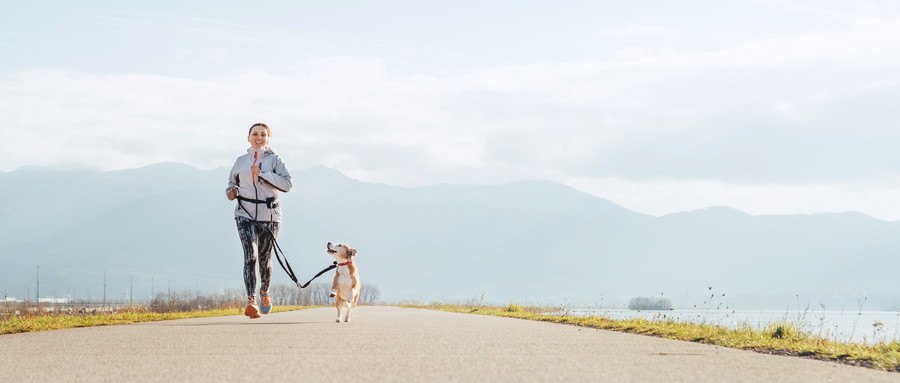 一緒にランニングをする飼い主と犬