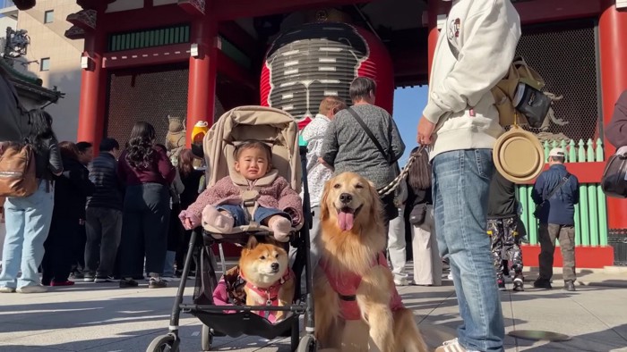 雷門を歩いたり…
