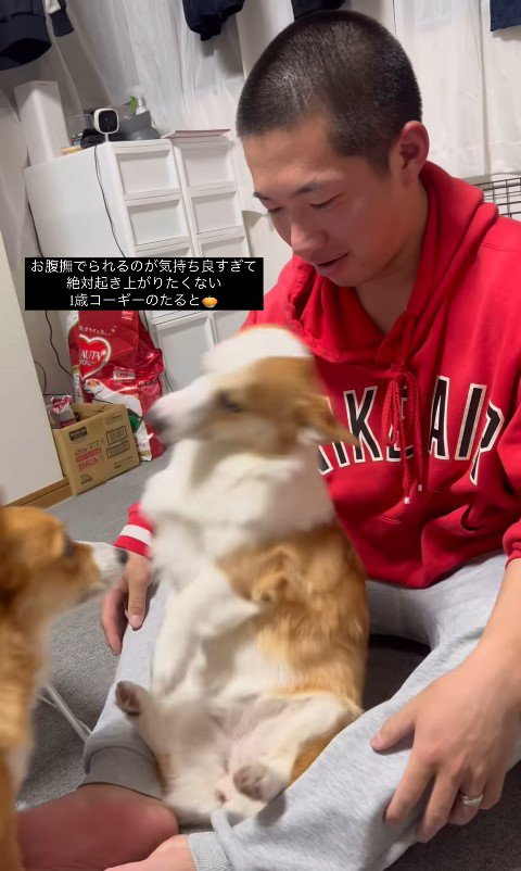 撫でられたいたるとちゃんVSパパさん9