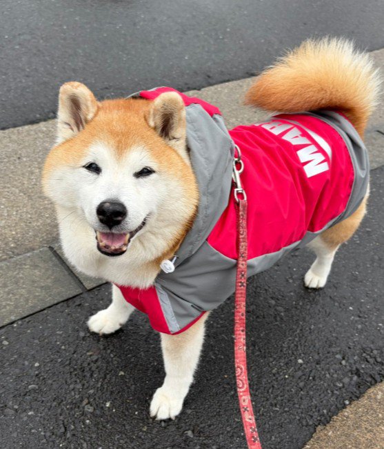「まだ帰りたくない!」