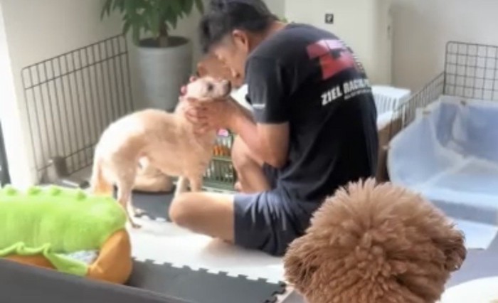 お話しするパパと犬