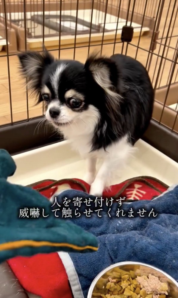ご飯も警戒