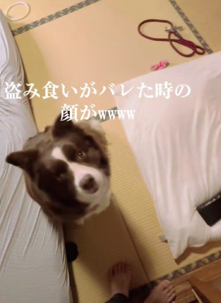 「ごめんなさい…」