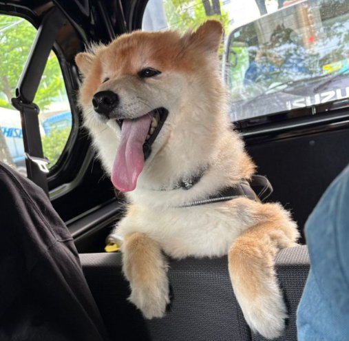 ニッコリ