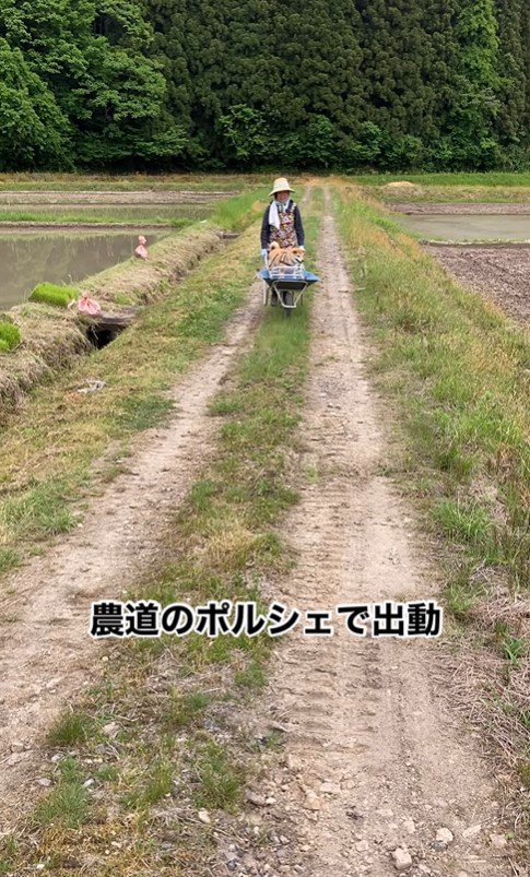 一輪車に乗るめごちゃん