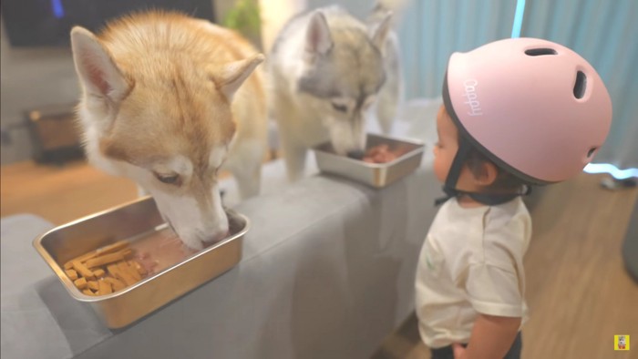 これがメインだよね！！
