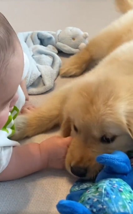 いつも一緒のふたり