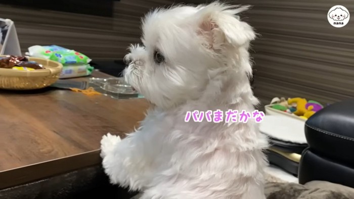 パパさんの帰りを待つナナくん7