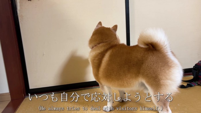 出前が来た