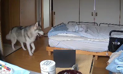 何日間も探し続けた