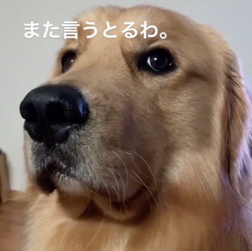 聞こえないふり