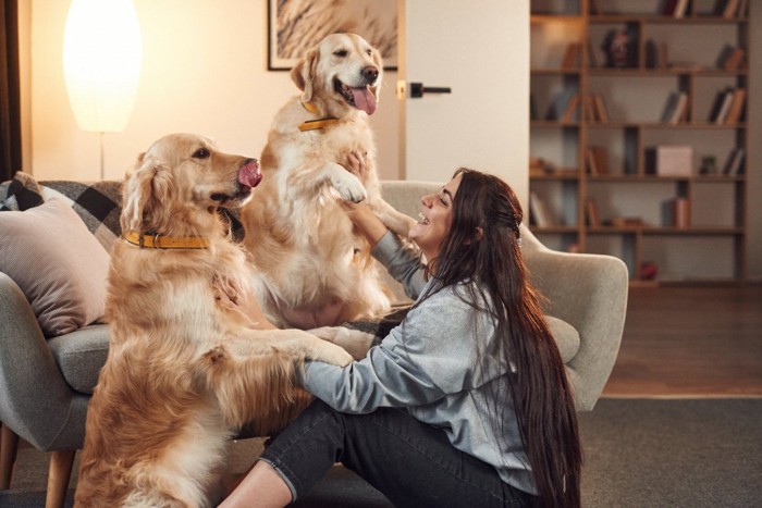 2頭の犬と戯れる女性