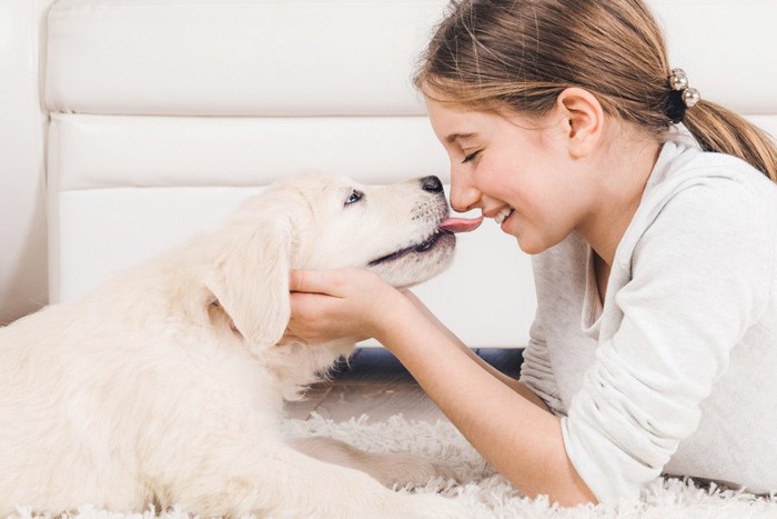 子犬と少女