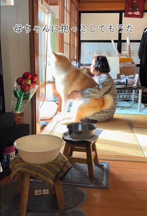 甘えん坊な駄偉助くんの日常