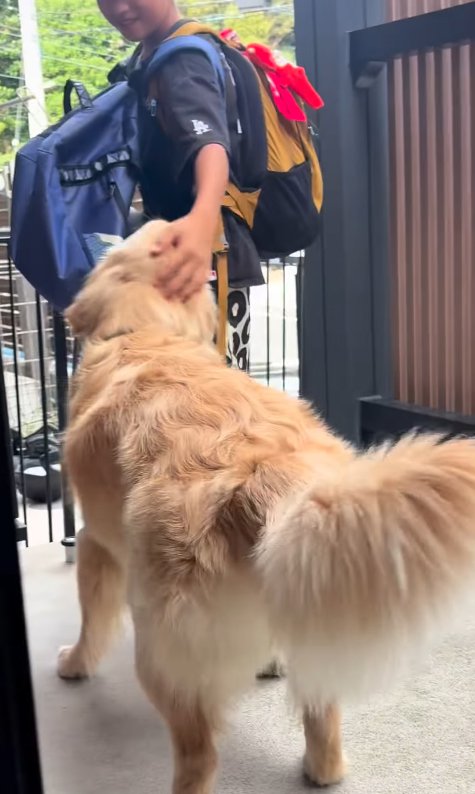 大型犬を撫でる長男
