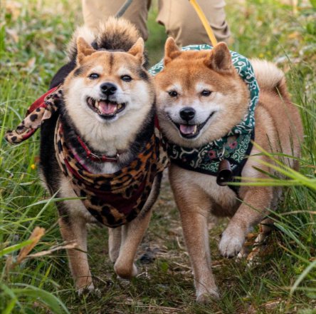 仲良し