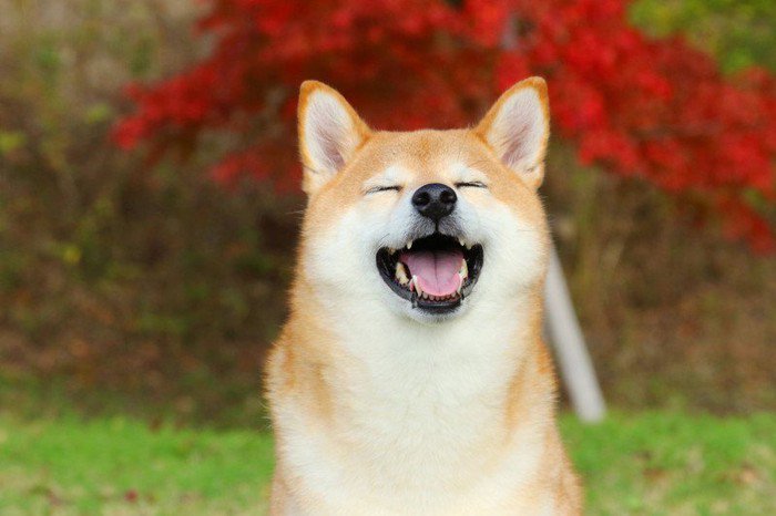 ：