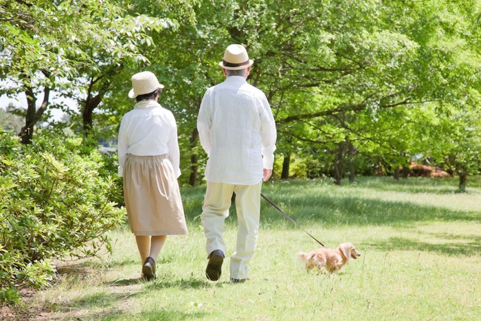 犬の散歩をする老夫婦