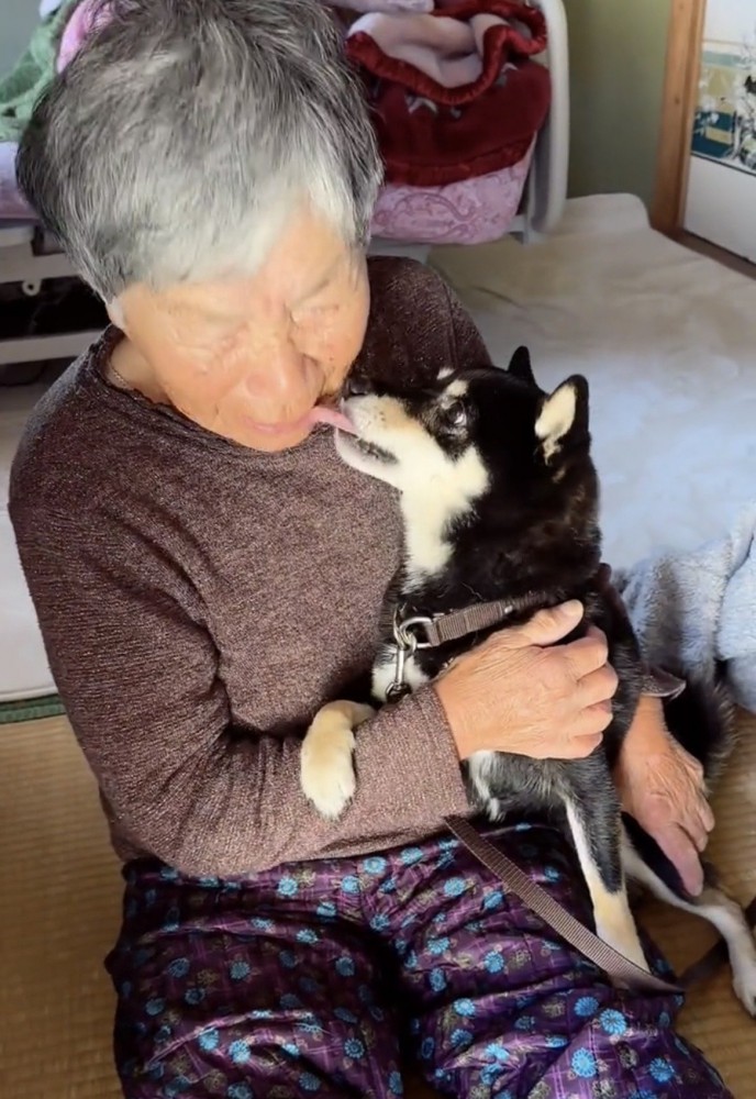 人の顔を舐める犬