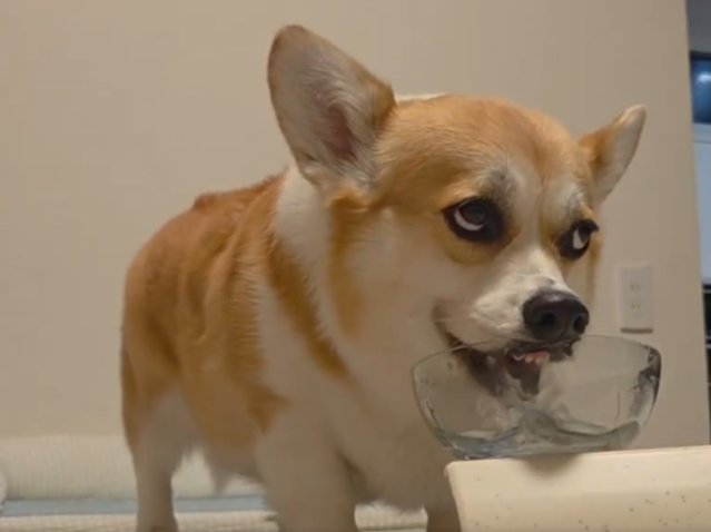 衝撃