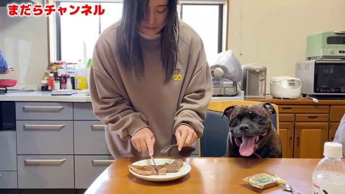 肉を切り分ける女性と犬