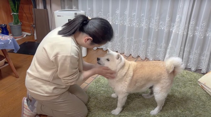 ママさんに顔を撫でられるあいちゃん