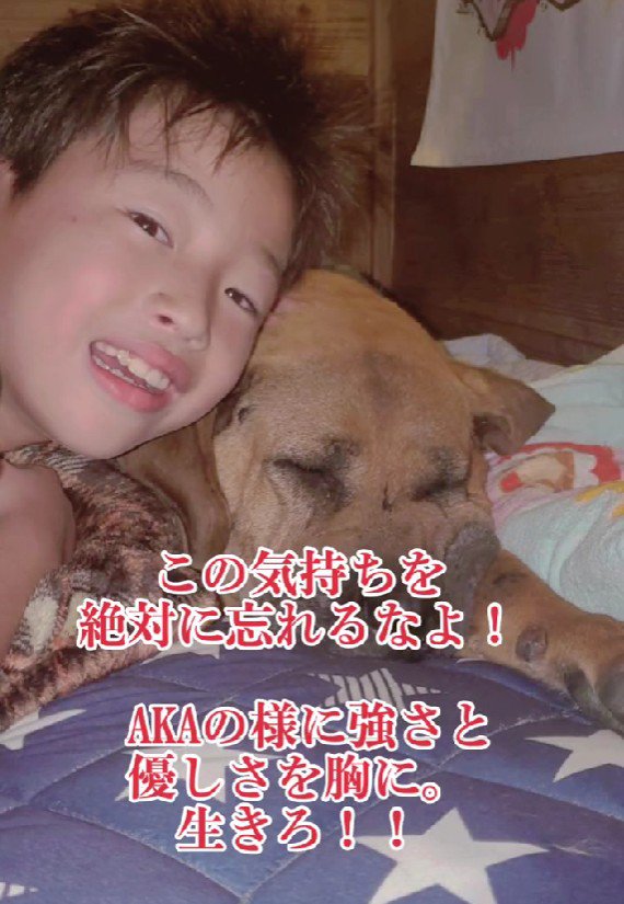 AKAちゃんのことを忘れないで