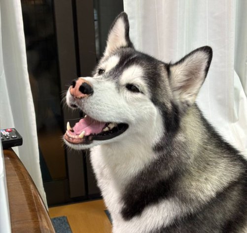 ニコニコ笑顔
