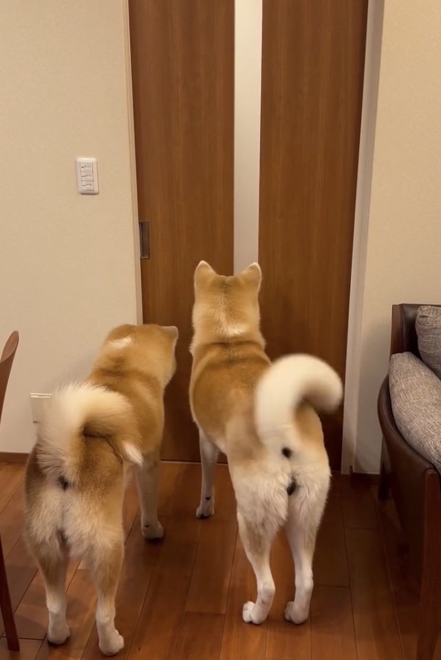 待ってる