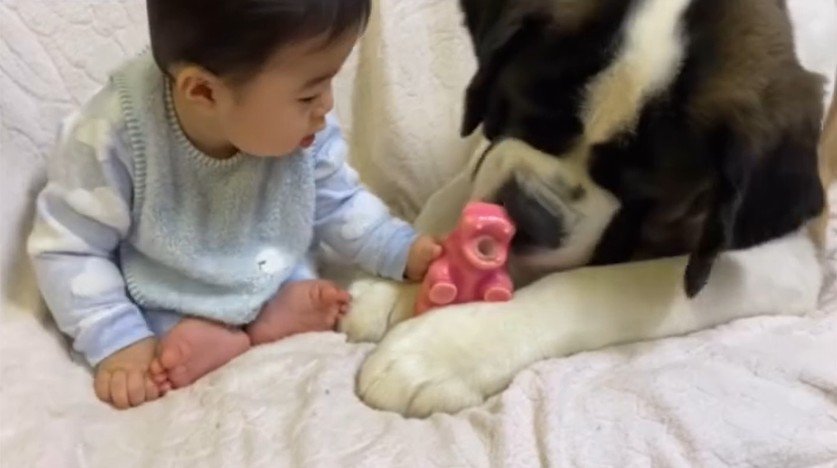 カイザーくんとの思い出5