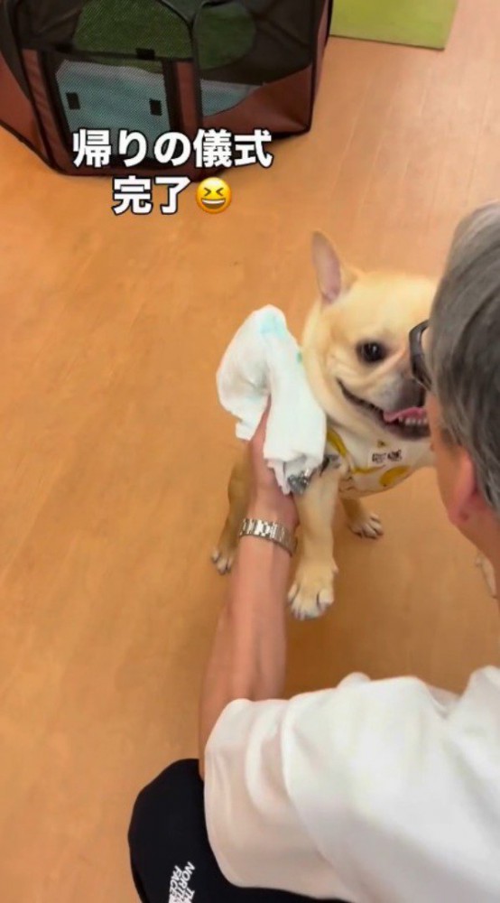 犬の前足を持ち上げる男性