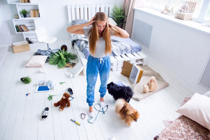 犬に荒らされた部屋で頭を抱える女性