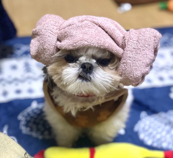 怒り顔