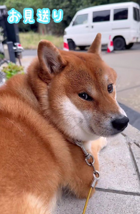 「また来るよね?」