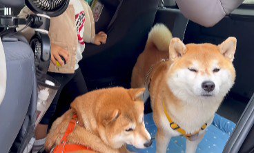 初めて保育園へ行く日