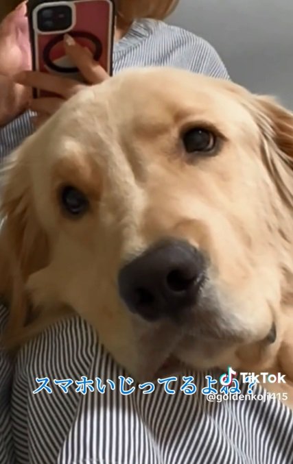 不満そうな麹くん