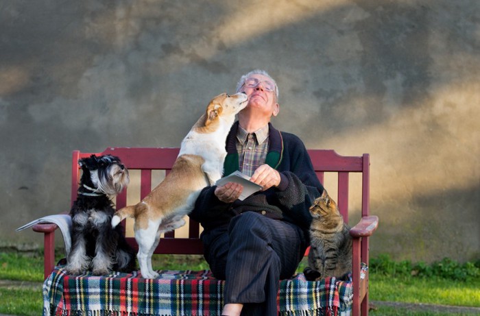 おじいさんと2匹の犬と猫