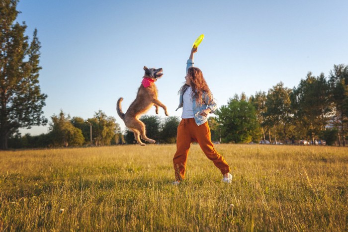 一緒に遊ぶ犬と女性