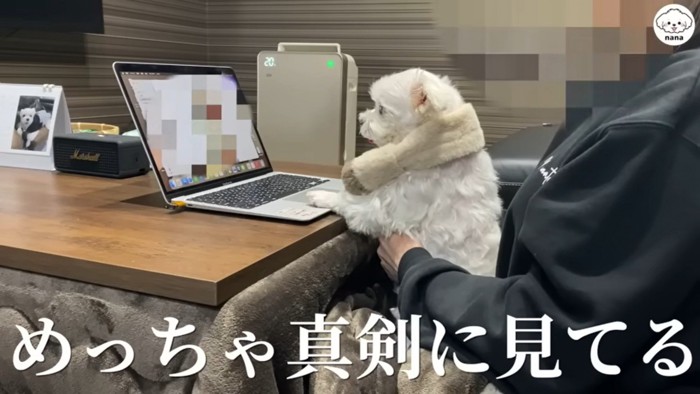 じーっと画面を見ています