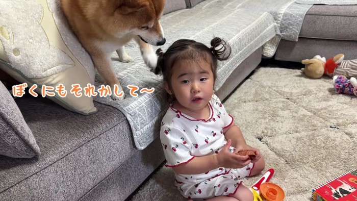 ほのちゃんと遊びたい…