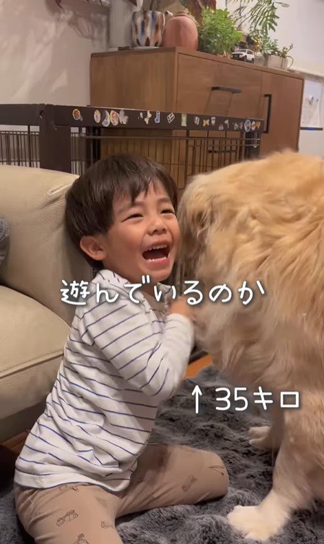 エルくんと男の子7