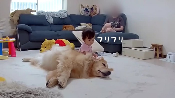 ほのちゃんを受け止めるおからちゃん