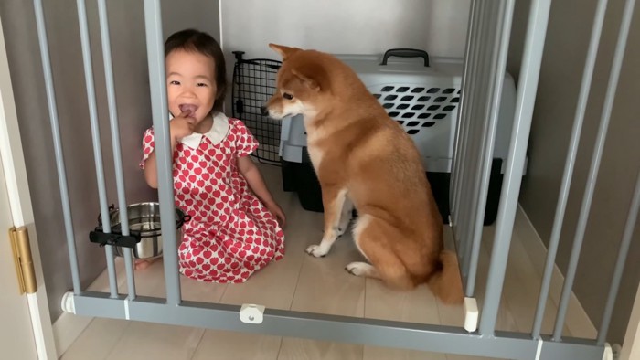 ペロリと舐めたのは犬用の水！