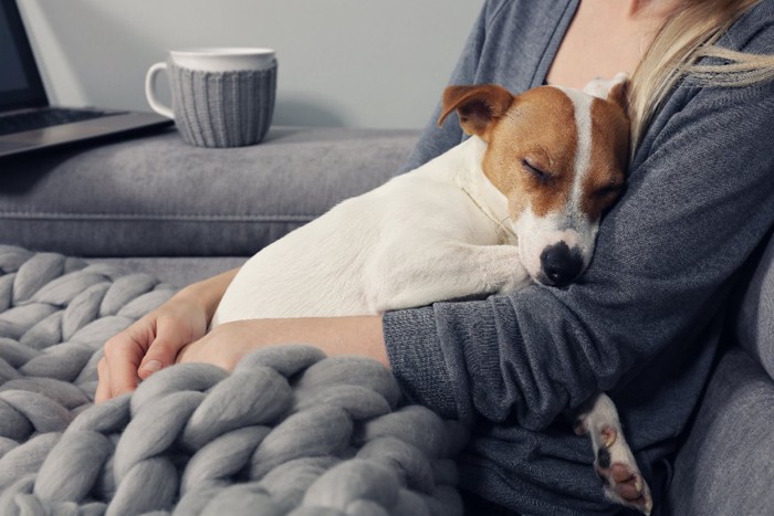 飼い主に抱きついて眠る犬